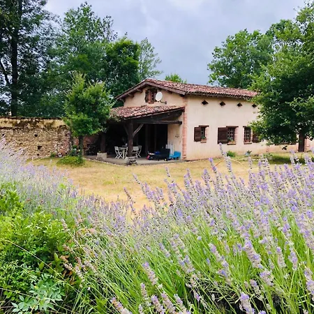 La Louvatiere - En Pierres Et Piscine Privee Mirabel (Tarn-et-Garonne)